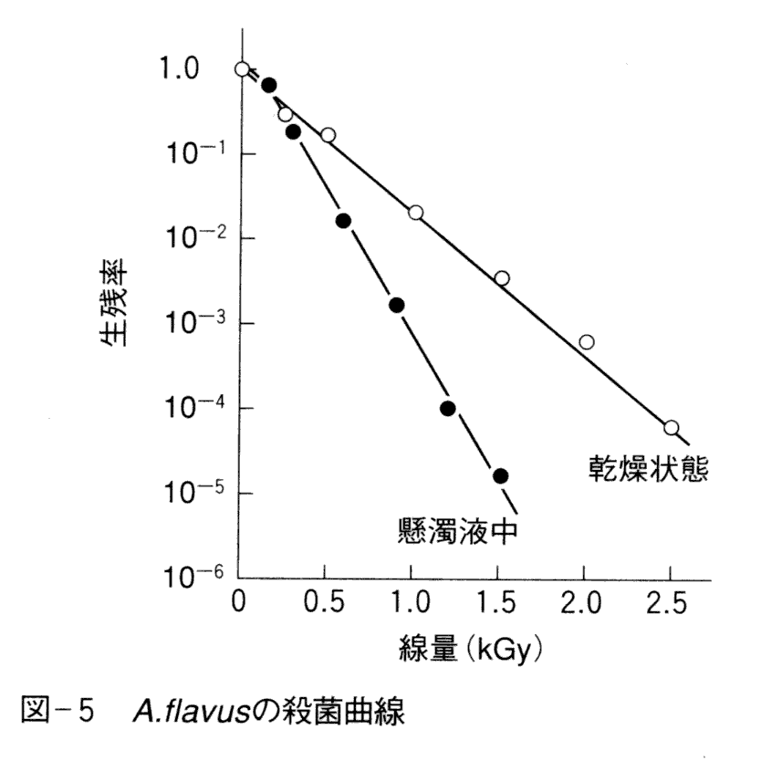 A. flavusの殺菌曲線