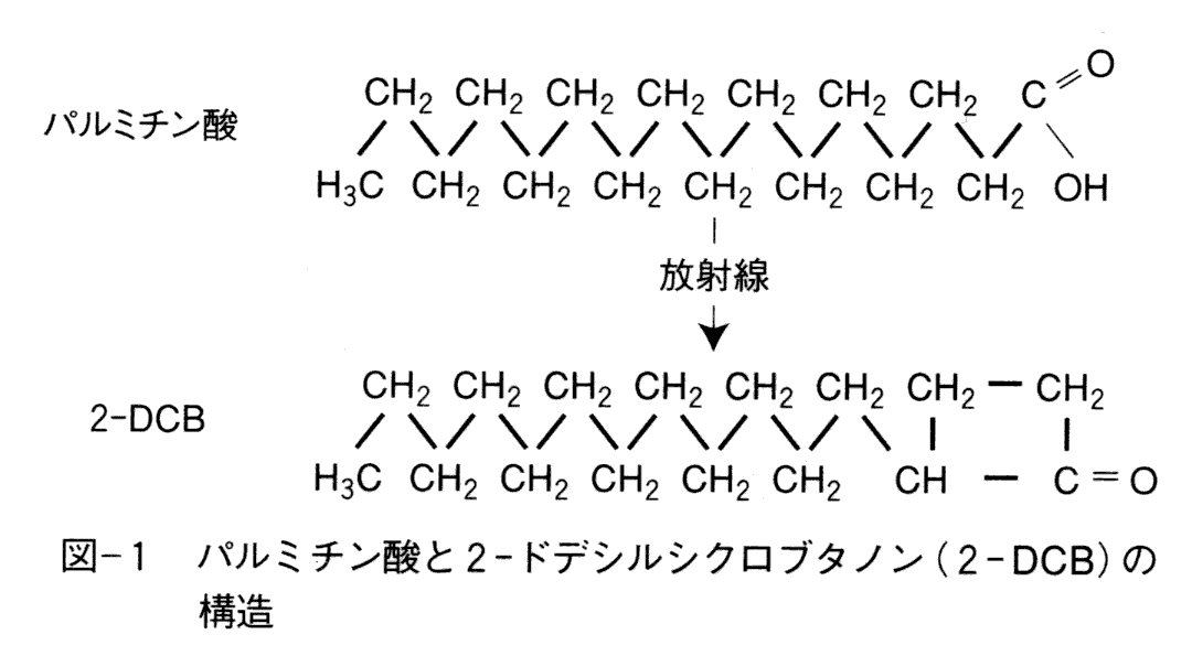 パルミチン酸と ２−ドデシルシクロブタノン（２−DCB）の構造