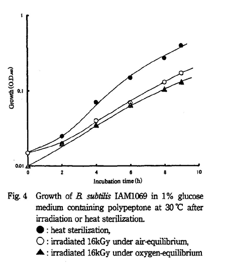 Growth of B. subtilis IAM1069 in 1% glucose medium containing polypeptone at 30 after irradiation or heat sterilization.