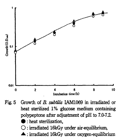 Growth of B. subtilis IAM1069 in irradiated or heat sterilized 1% glucose medium containing polypeptone after adjustment of pH to 7.0-7.2.