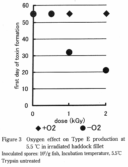 Oxygen effect on Type E production at 5.5 in irradiated haddock fillet