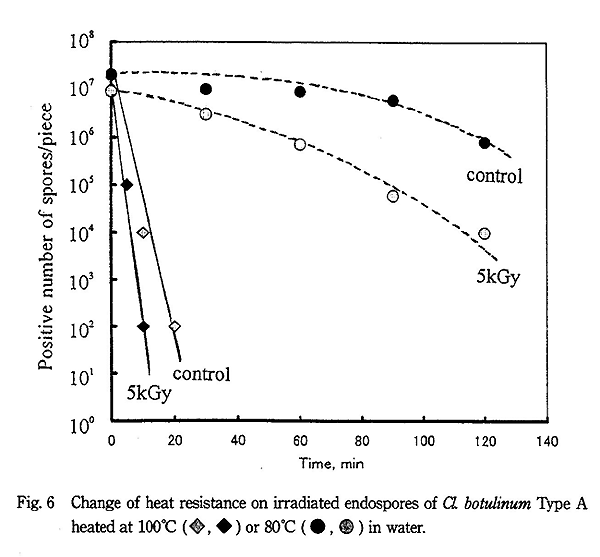 Change of heat resistance on irradiated endospores of Cl. botulinum Type A heated 100 or 80 in water.