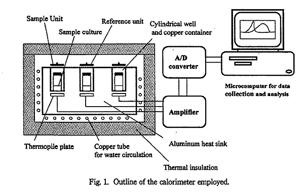 Outline of the calorimeter employed.