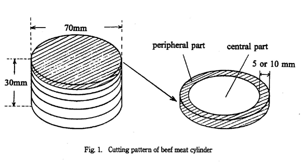 Cutting pattern of beef meat cylinder