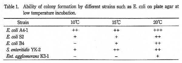 Ability of colony formation by different strains such as E. coli on plate agar at low temperature incubation.