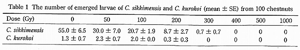 The number of emerged larvae of C. sikkimensis and C. kurokoi (mean}SE) from 100 chestnuts.